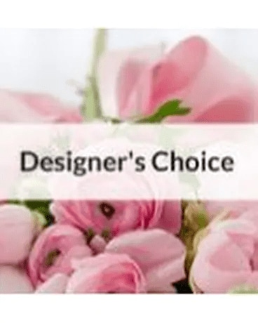 Designer's Choice